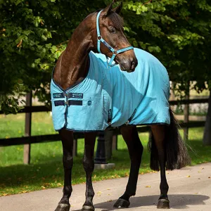 Amigo Stable Sheet