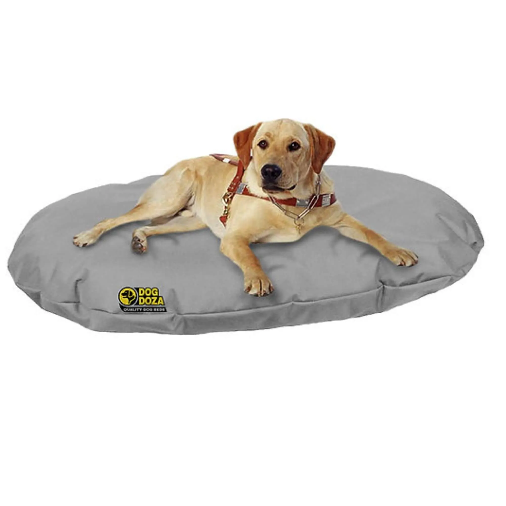 Dog Doza Waterproof Oval Memory Foam Crumb Cushion Bed