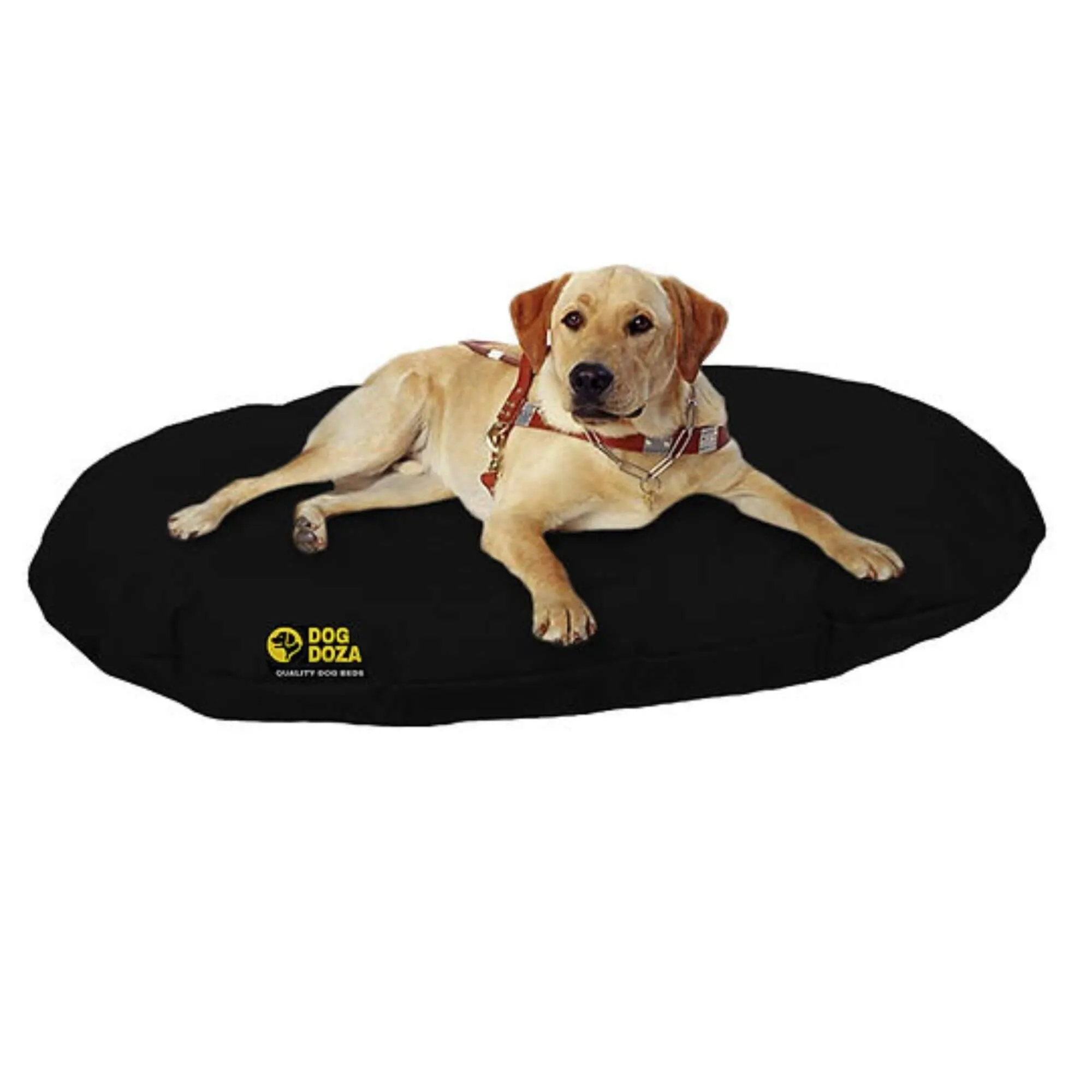 Dog Doza Waterproof Oval Memory Foam Crumb Cushion Bed