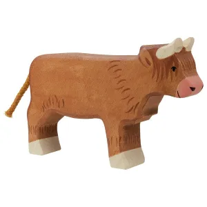 Higland cattle, standing