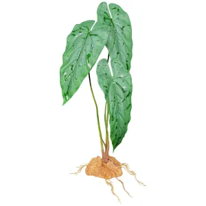 Komodo Emerald Vine Standing Plant 18 inch