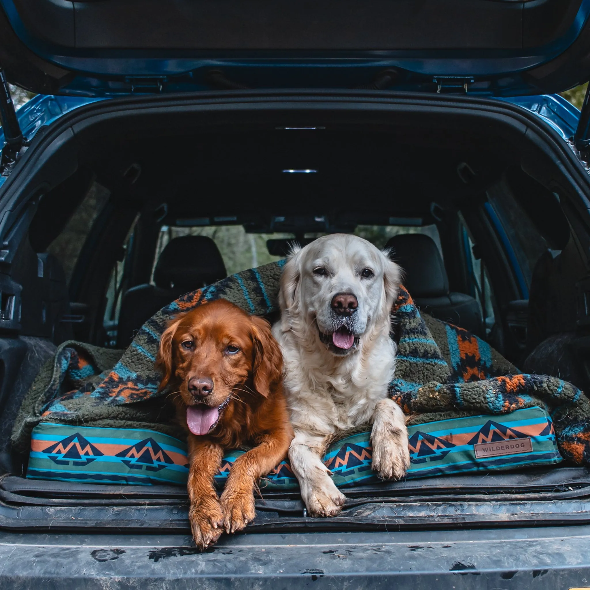 Memory Foam Dog Bed