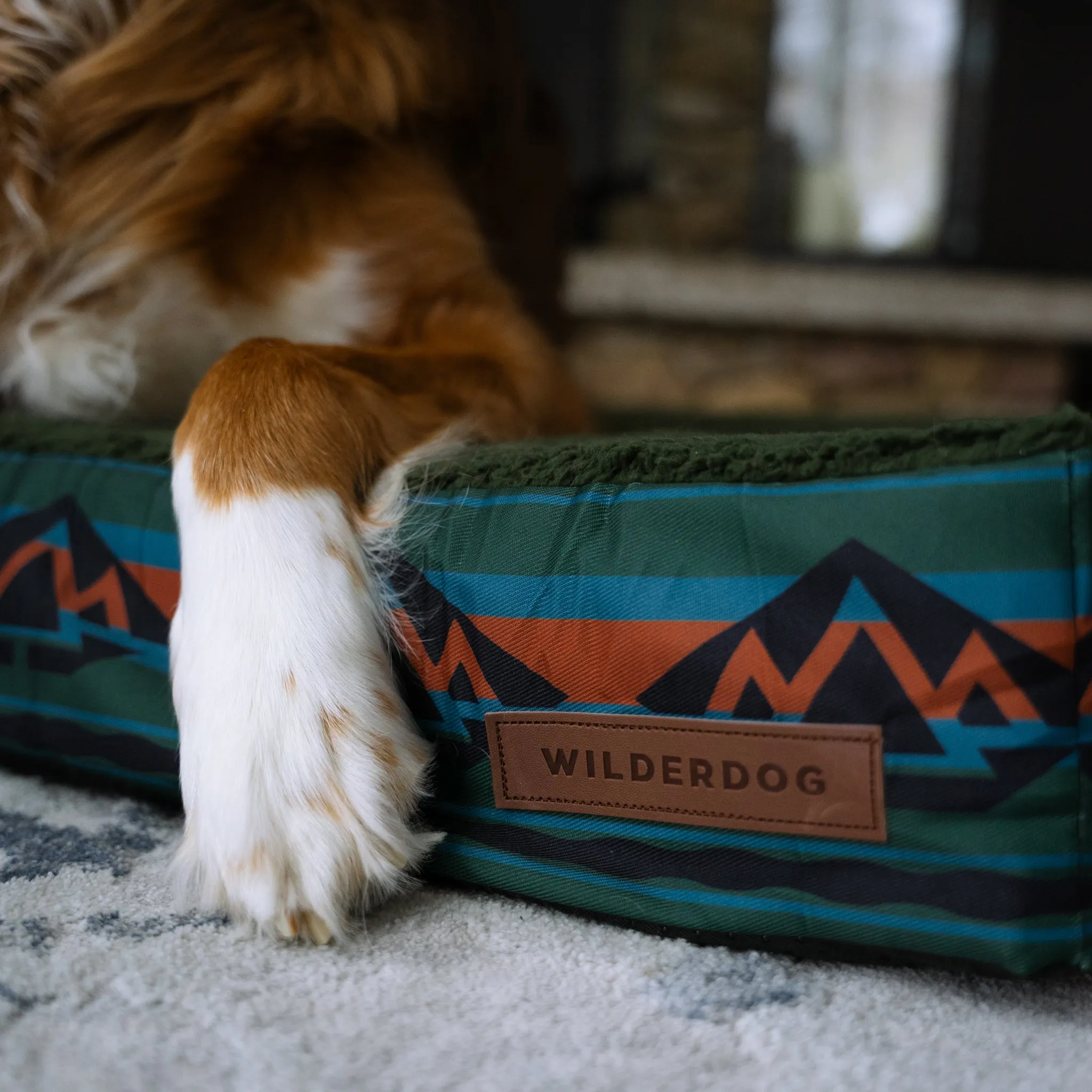 Memory Foam Dog Bed