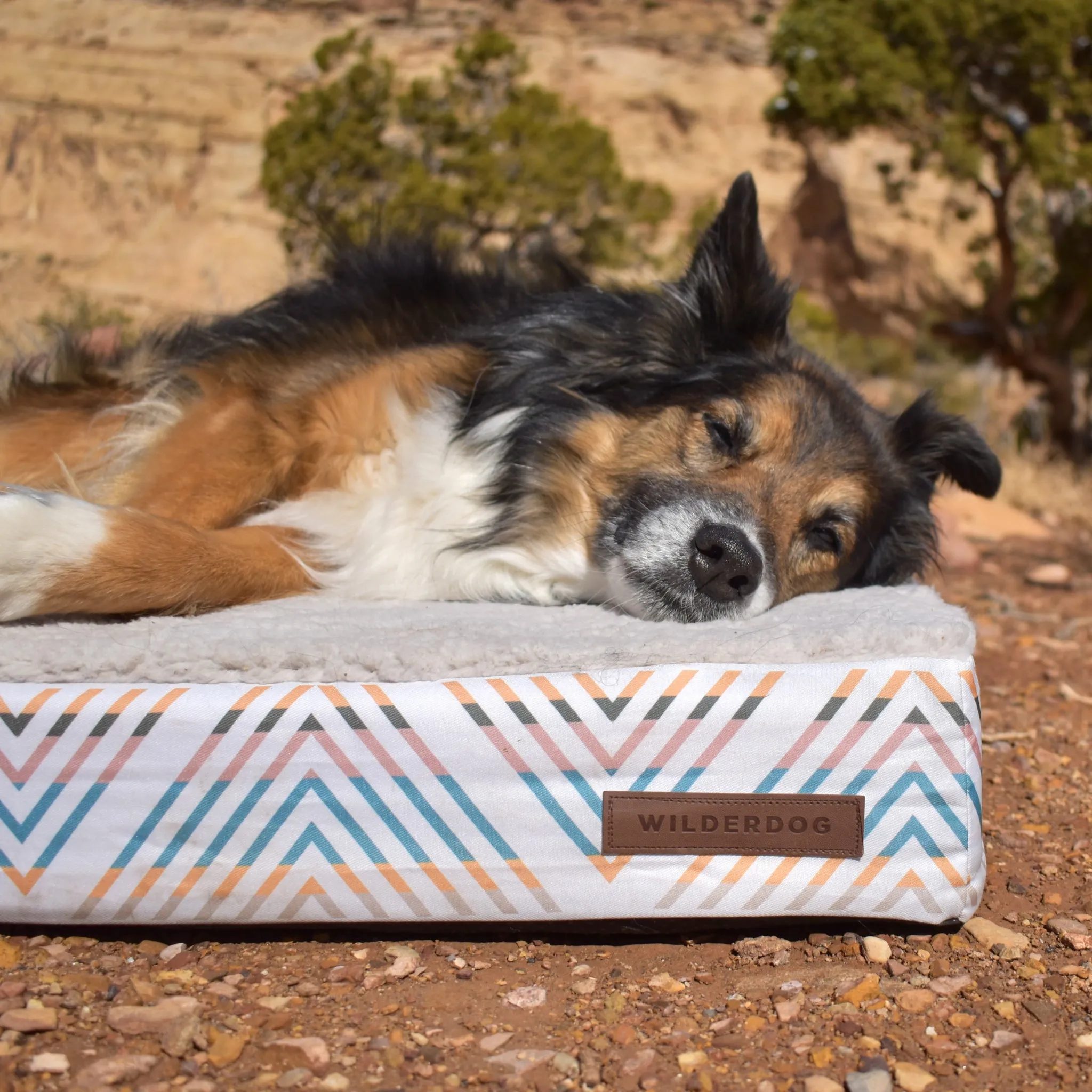 Memory Foam Dog Bed