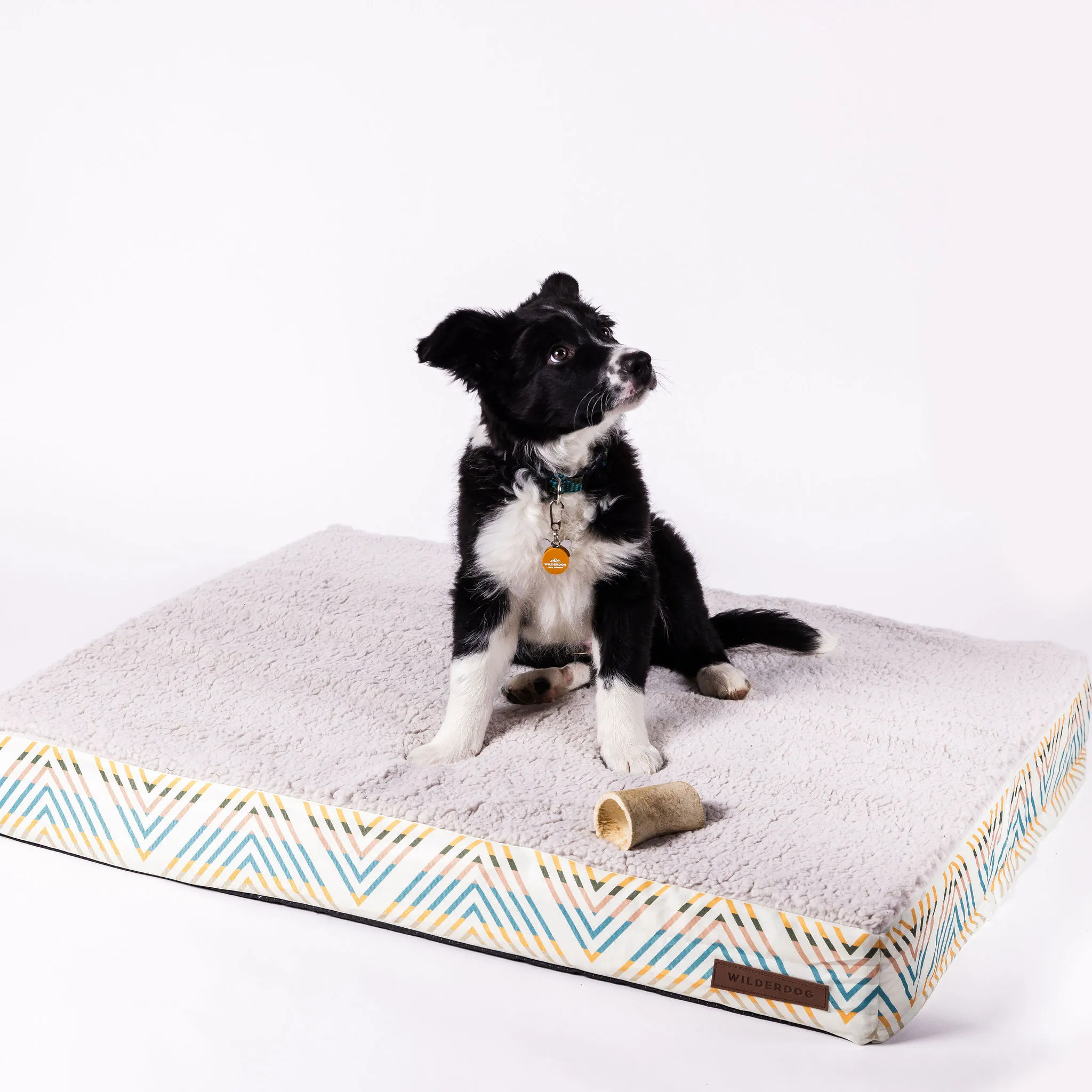 Memory Foam Dog Bed