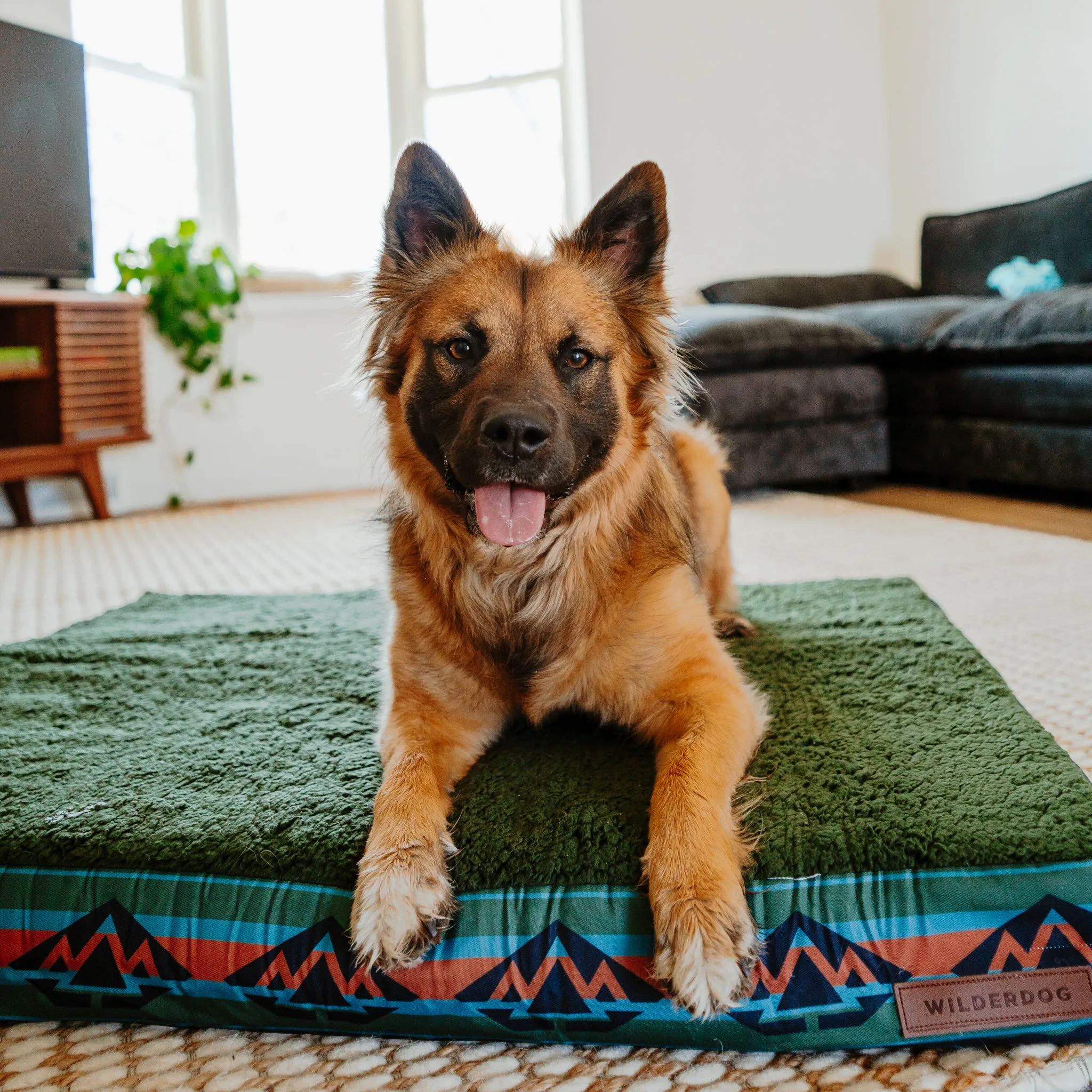 Memory Foam Dog Bed