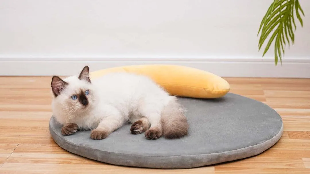 Memory Foam Sweet Dream Moon Bed for Cats