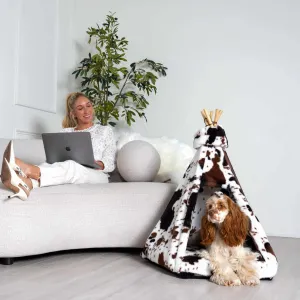 Modern Luxury Pet Teepee with Memory Foam