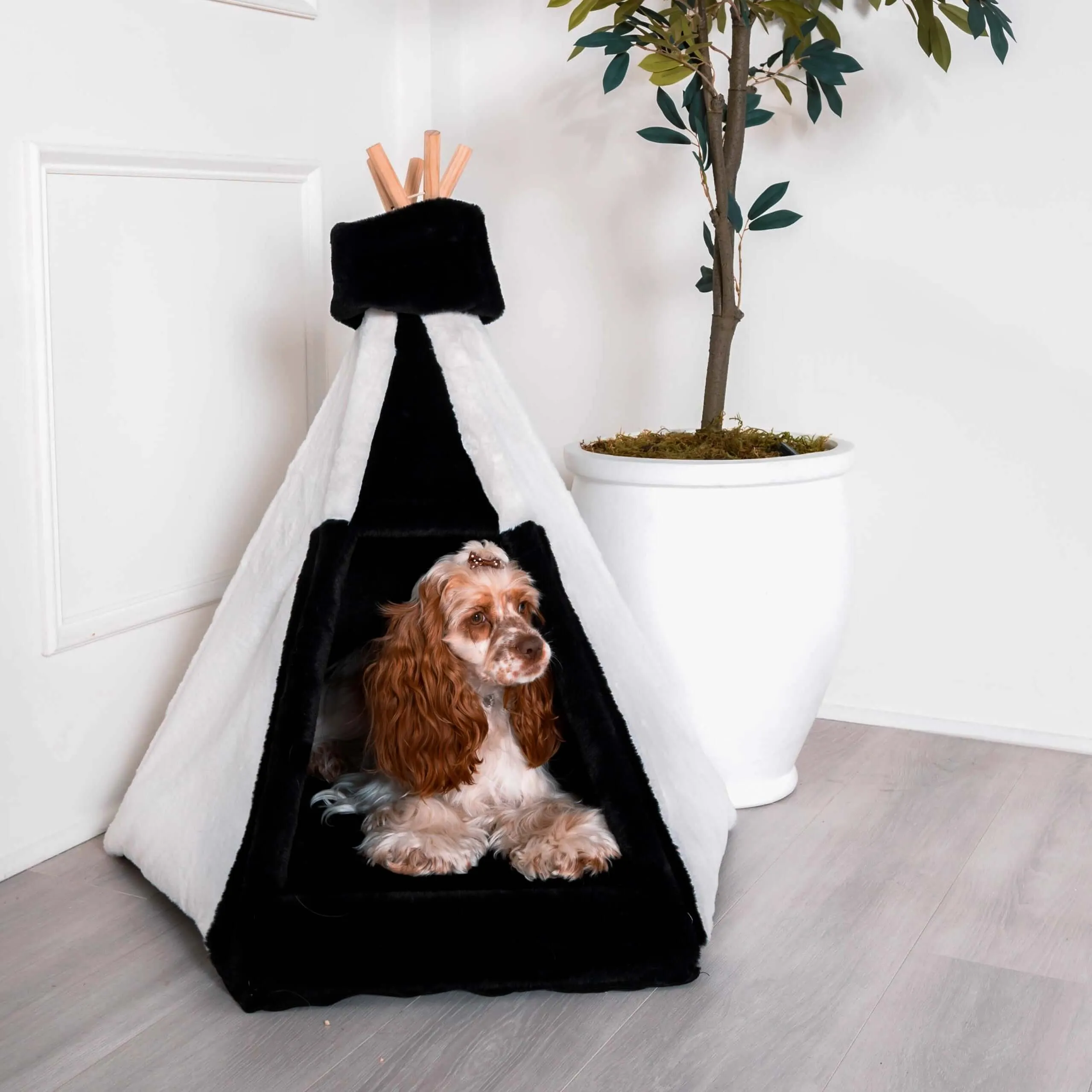 Modern Luxury Pet Teepee with Memory Foam
